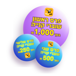 הפרסים