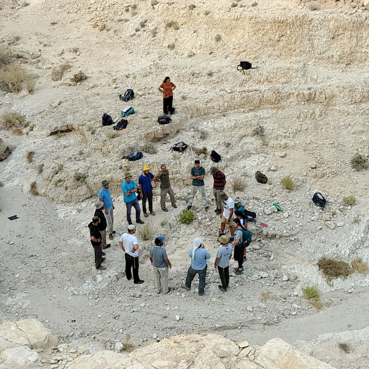 WhatsApp-Image-2018-11-08-at-10.13.33-1 copy