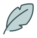 תואר בספרות במכללה האקדמית הרצוג